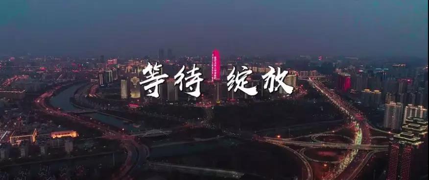 公益廣告宣傳片配樂需要注意哪些要點？
